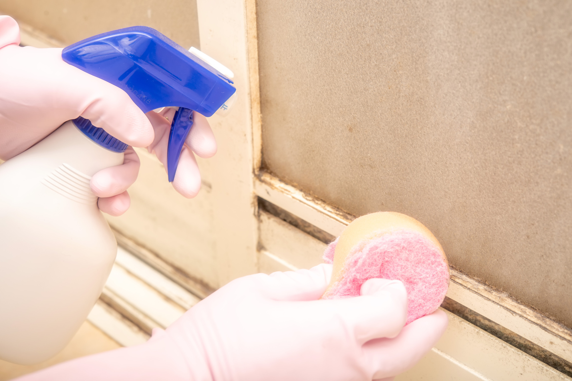 水まわりのカビを徹底退治！カビの見つけ方とできてしまったカビの対処法【水道職人：公式】