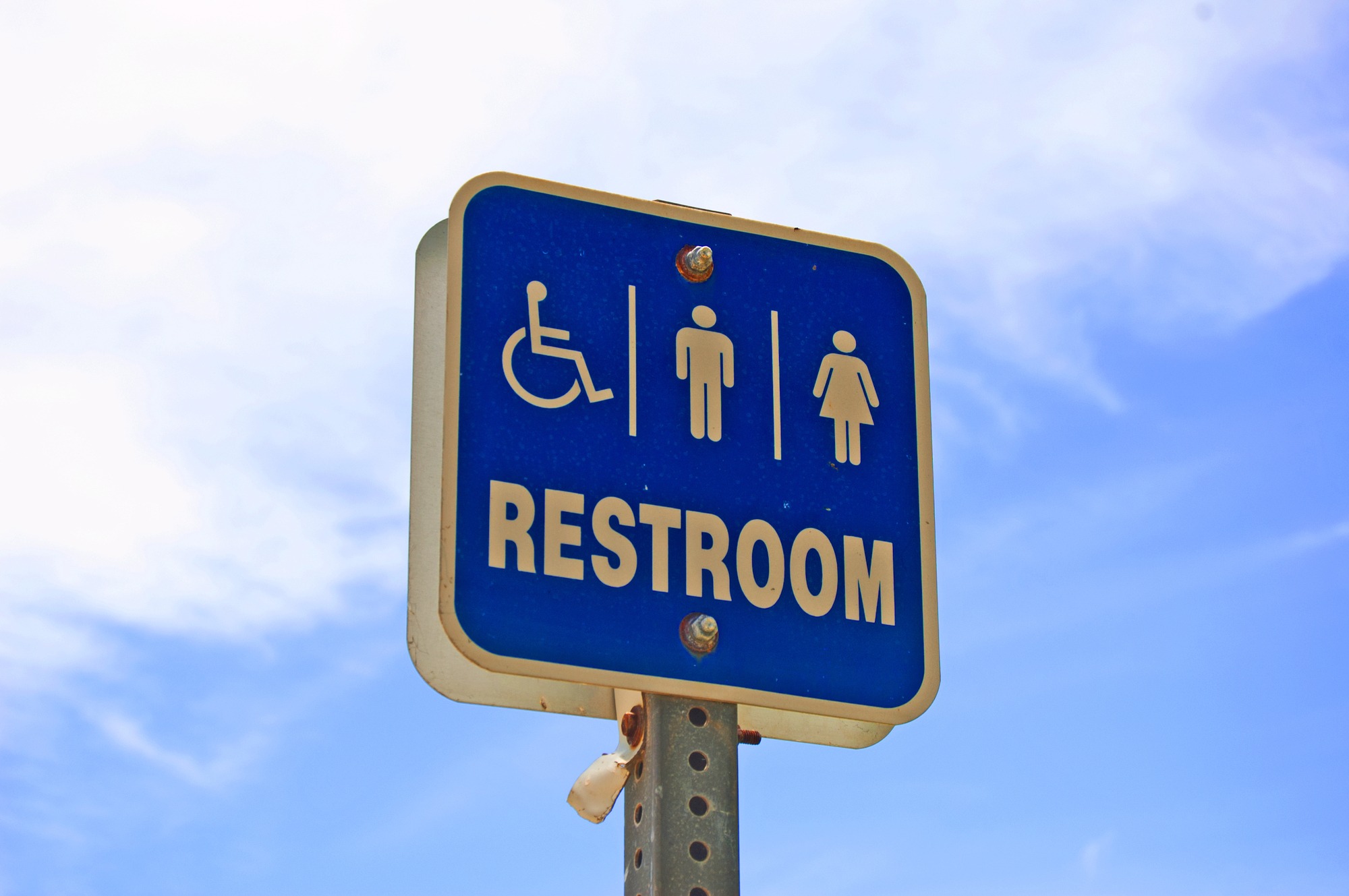 世界のトイレ事情とは？多様な文化と水まわりの工夫を知る【水道職人：公式】