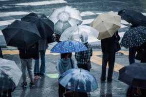 【大雨への備え】水まわりの防災対策とご自宅を守るための準備【水道職人：公式】