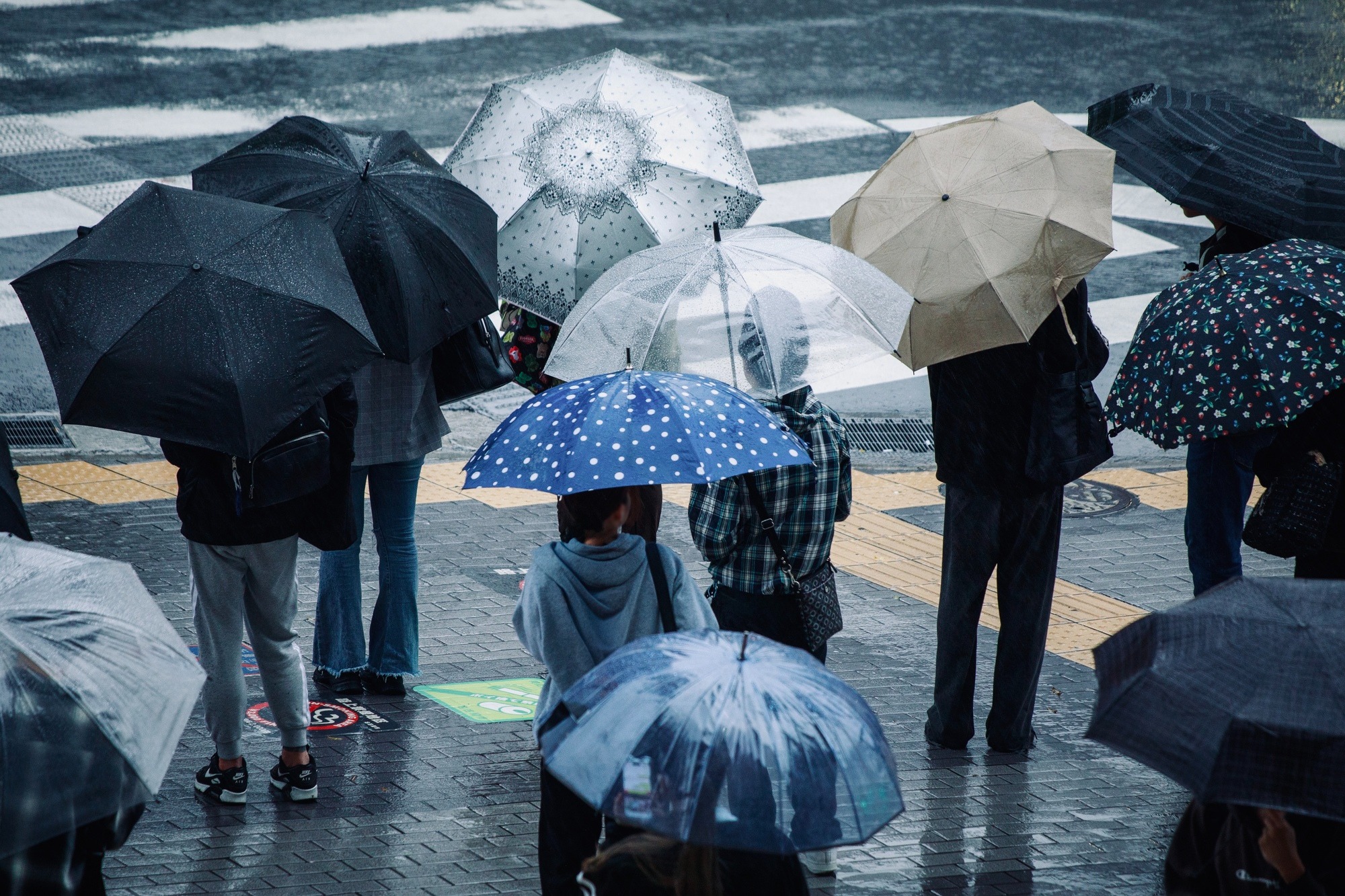 【大雨への備え】水まわりの防災対策とご自宅を守るための準備【水道職人：公式】