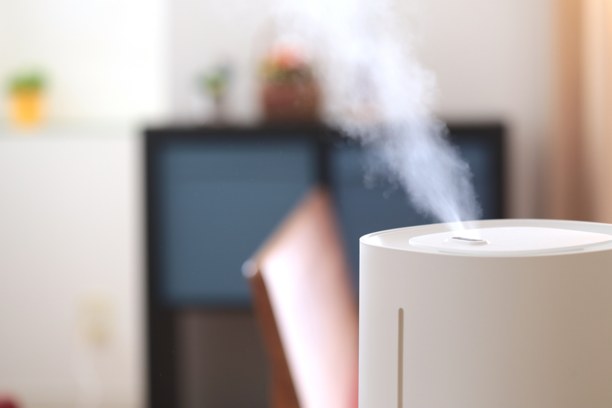 加湿器にミネラルウォーターはNG？水道水がおすすめな理由と正しい使い方【水道職人：プロ】